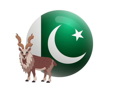 Pakistani Brands - Mighty Depot