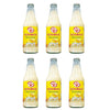 Vitamilk soy milk 10 oz bottle (6 bottles)