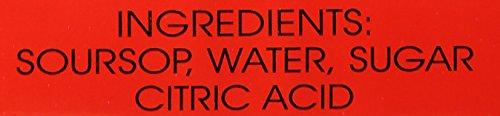 All Natural 100% Soursop Pulp in Syrup (Graviola Pulp Raw/uncut) - 15oz (Pack of 6) - Mighty Depot