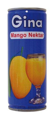 Gina Mango Nectar 240ml (10 Pack) - Mighty Depot