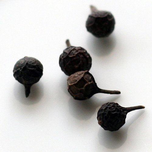 Nagkesar (Mesua Ferrea) - 2 Oz - Mighty Depot