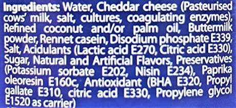 Magnolia Cheezee Cheddar Cheese Flavored Spread, 480g - Mighty Depot