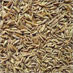 Cumin Seeds 5lb Bag