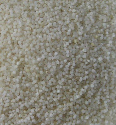 Samo Seeds (800 g) - Mighty Depot