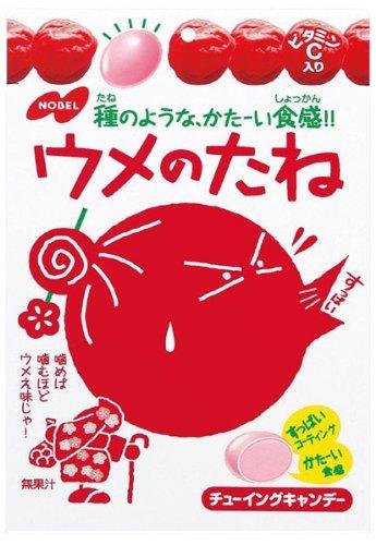 Chojuen Honpo cherries Hojicha TB 2 bags set - Mighty Depot