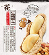 Huang Fei Hong Spicy Crispy Peanut 210g(7.4oz) 黃飛紅麻辣花生