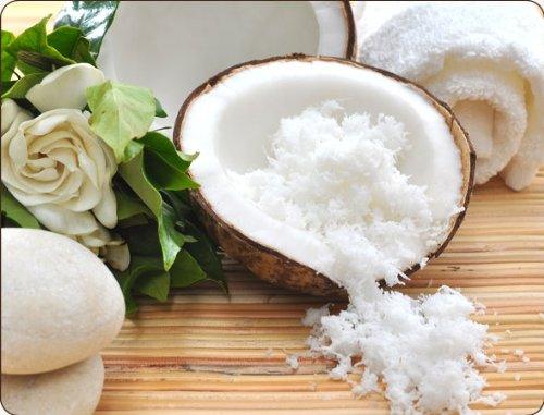 Thai Coconut Cream Powder 60g - Mighty Depot
