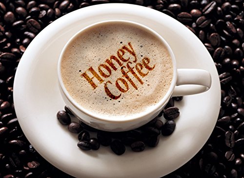 Carnes Premium Instant Coffee Mix with Honey Powder (Original Mocha, 100 Count) - Mighty Depot