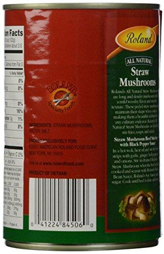 MUSHROOM STRAW PEELED , 24 x 15 OZ