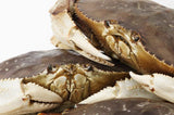 Live Dungeness Crab - Mighty Depot