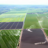 Kagayaki Select Rice | California White Short Grain | (15 lbs) - Mighty Depot