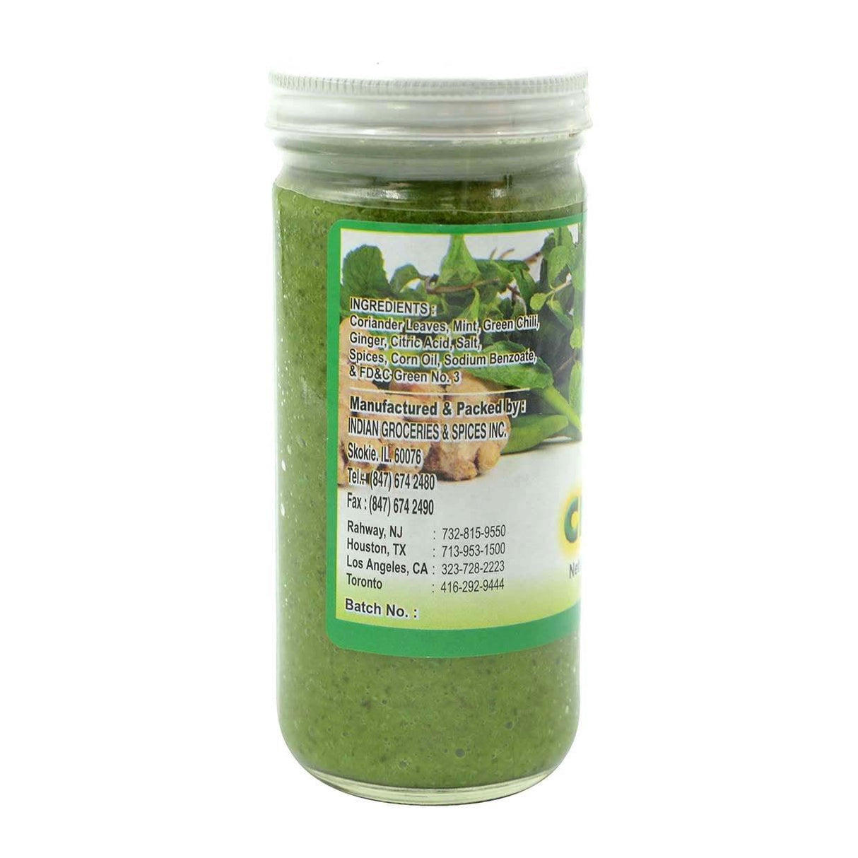 Nirav, Mint Chutney, 220 Grams(gm) - Mighty Depot