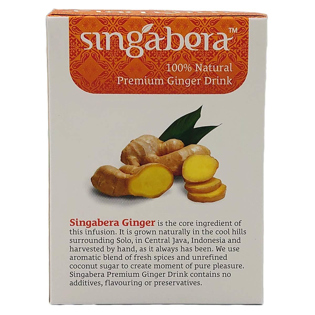 Premium Ginger Drink (Cinnamon Ginger) - 5.1oz (Pack of 1) - Mighty Depot