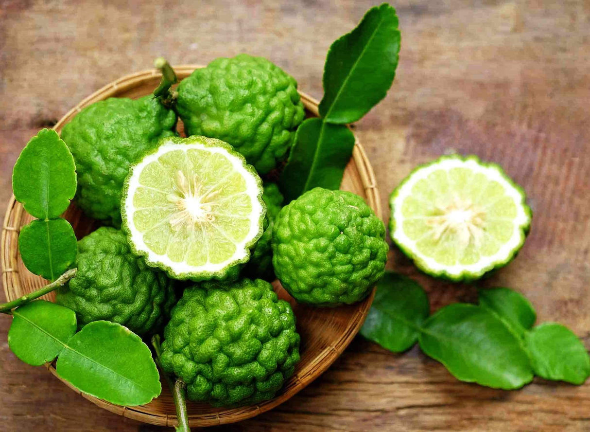 Dried Kaffir Lime Leave 50g (1.76 oz) - Mighty Depot