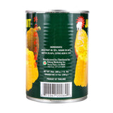 Jackfruit in Syrup - 20oz (Pack of 3) - Mighty Depot