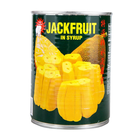 Jackfruit in Syrup - 20oz (Pack of 3) - Mighty Depot