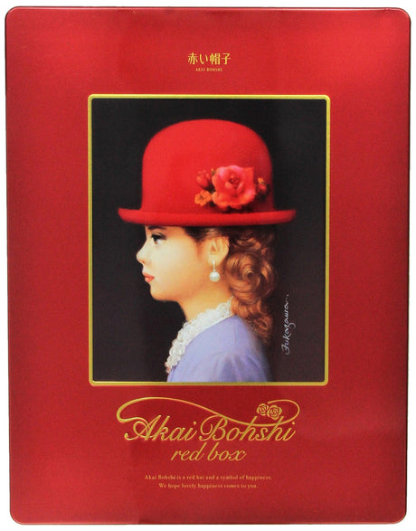 Japan Biscuit Gift Tin /Japanese Cookies Gift Box (Tivolina Bonus Pack) - Mighty Depot